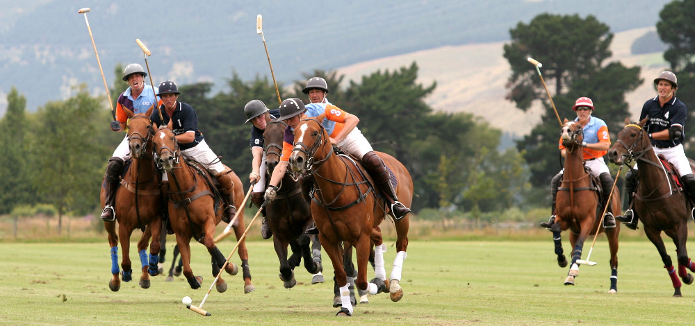 A Day at the Polo